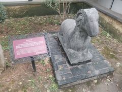 -常熟方塔园