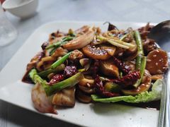 辣炒鱿鱼-真浪大家乐海鲜餐馆