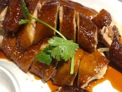 招牌豉油鸡-老廣食堂(区庄店)