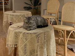 -猫友咖啡店(玉林西路店)
