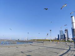 -东港音乐喷泉广场