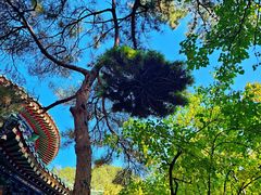 -潭柘寺景区