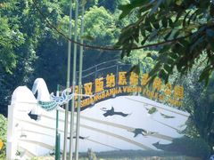 -西双版纳原始森林公园