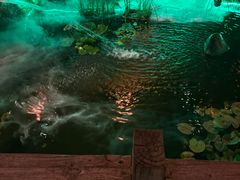 -凤凰山斑鱼馆(恭城店)