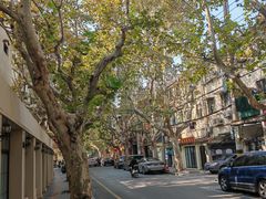 -老洋房花园饭店(绍兴路店)