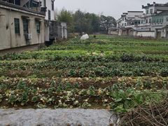 -西溪南古村落