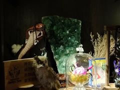 -雪灵魔法世界SHELLY’S TAROT(大良桂畔里店)
