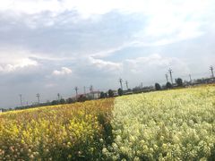 -中国天府农业博览园