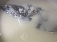 -姜君·千岛湖鱼头馆(浦东大道店)