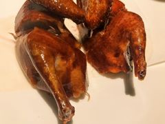 -甄御•海鲜新青岛菜(麦岛店)