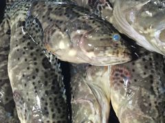 -鸿港海鲜批发市场