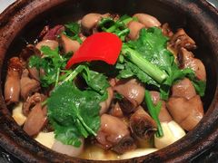 -大榕树下顺德菜(融创茂店)
