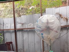 -大兴街扣碗包子馆