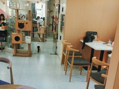 -喵园·猫主题咖啡厅·撸猫·猫咖(国贸店)
