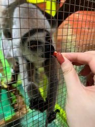 -Zoolung Zoolung动物主题公园(海信广场店)