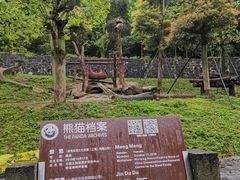 -都江堰中华大熊猫苑