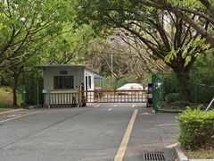 -福田红树林生态公园