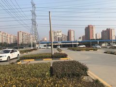 -光明驾校·学车·陪驾(杨浦店)