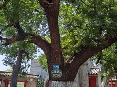 -洛阳周公庙博物馆