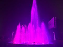 -夜不收荤豆花(大邑总店)