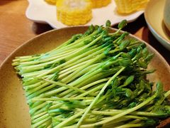 -盡膳口福跷脚牛肉火锅(北美新天地店)