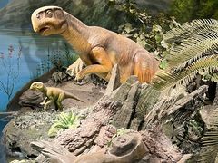 -辽宁古生物博物馆