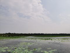 -上海海湾国家森林公园