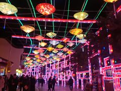 -青岛方特梦幻王国