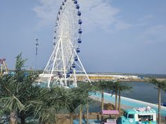 -秦皇岛乐岛海洋王国