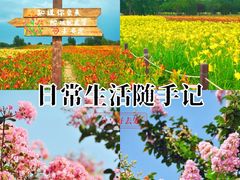 -汉长安城未央宫国家考古遗址公园