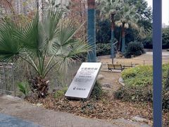 -苏州河梦清园环保主题公园