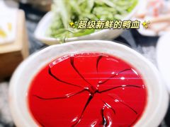 -渝味晓宇火锅(合川路店)