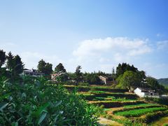 -乌石村