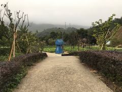 -广州市流溪河国家森林公园