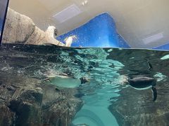 -成都浩海立方海洋公园