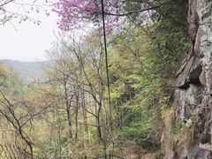 -藏龙百瀑风景区