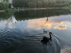 -吉林大学(前卫南区)