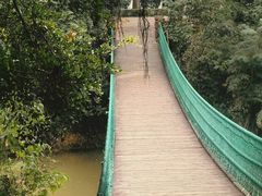 -南宁良凤江国家森林公园