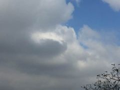 -艾溪湖湿地公园