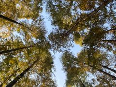 -上海植物园·停车场