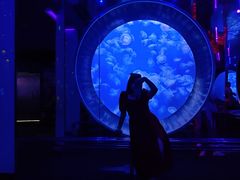 -成都浩海立方海洋公园