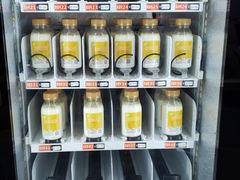 -德禄酸奶(莫家街店)