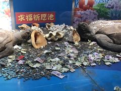-苏州海洋馆