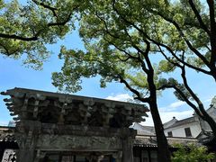 -天一阁博物院