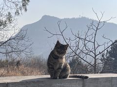 -四门塔风景区