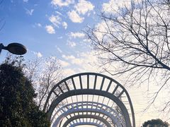 -九里河湿地公园