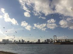 -台场海滨公园船码头