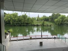 -中国湿地博物馆