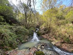 -桑洲油菜花景区