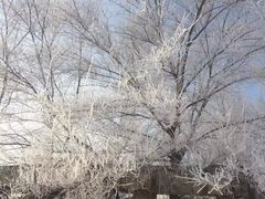 -雾凇岛